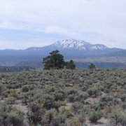 MonoBasin 212 : MonoBasin